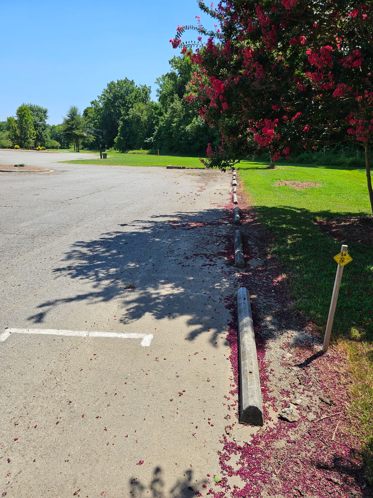 Hole 10 (plays to Hole 8's basket)