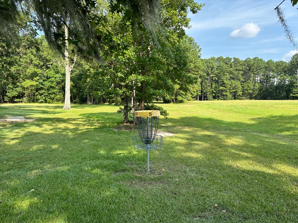 Hole 5 Basket