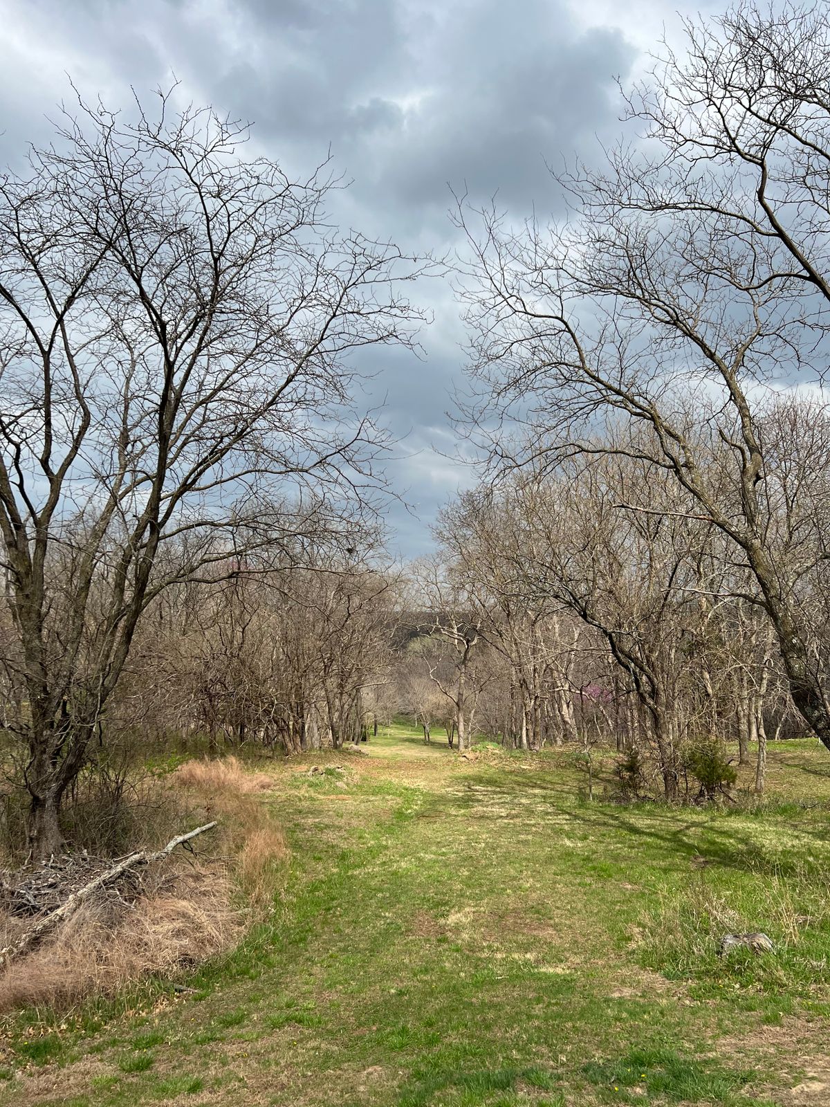 Hole 5