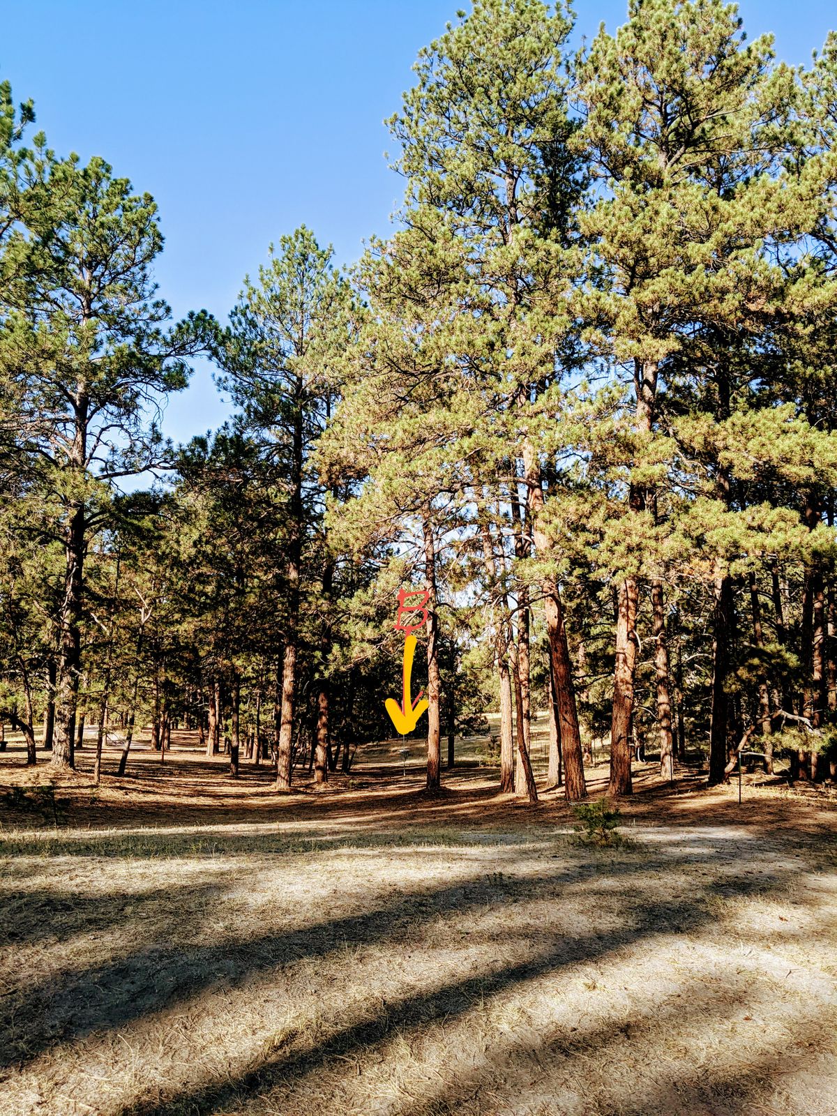 View from the first ridge off of the tee. Yellow pin.