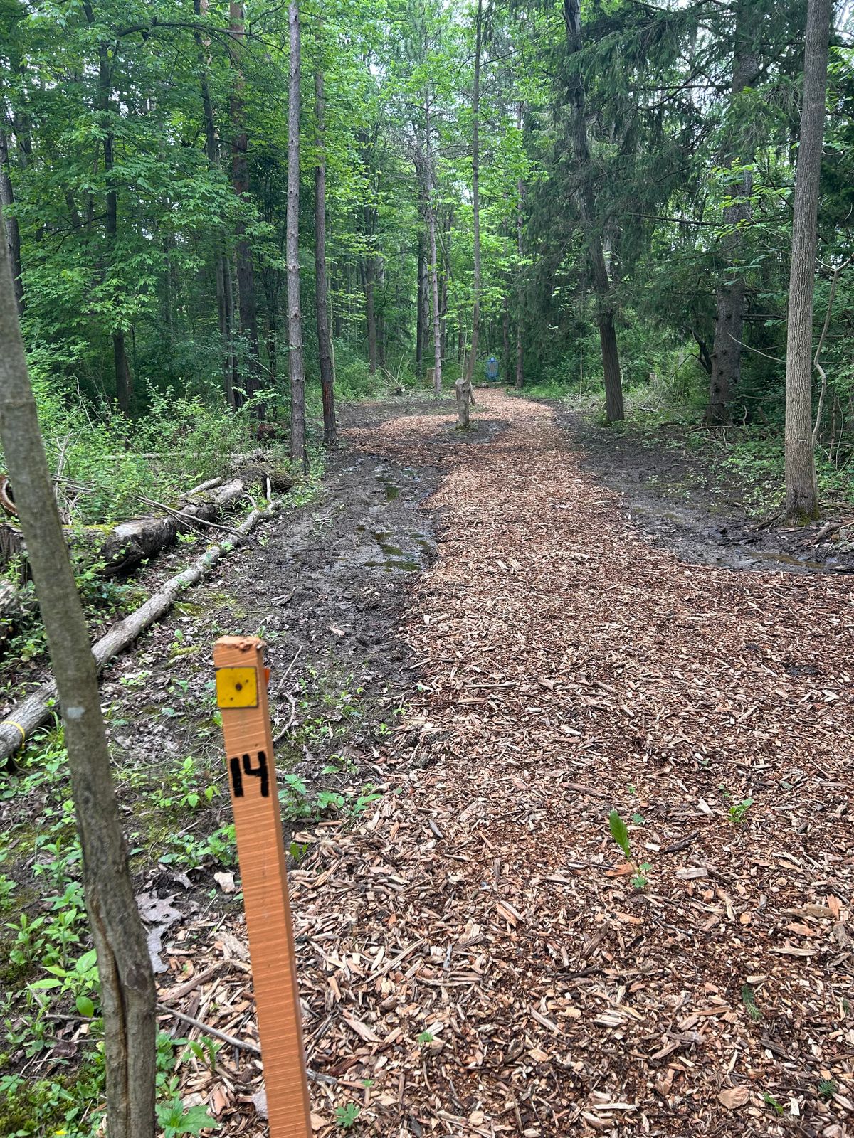 Hole 14 tee.