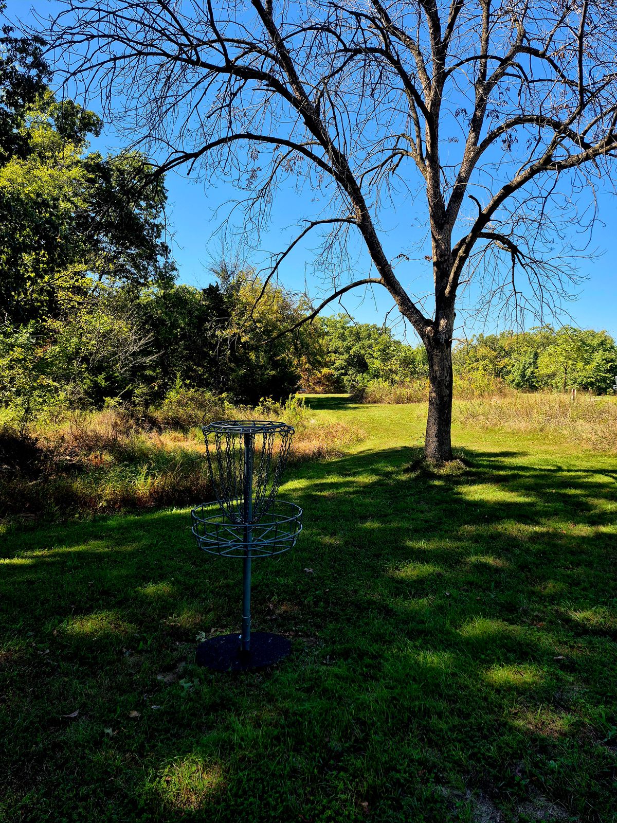 Hole 2
Basket to Tee