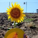 User avatar image