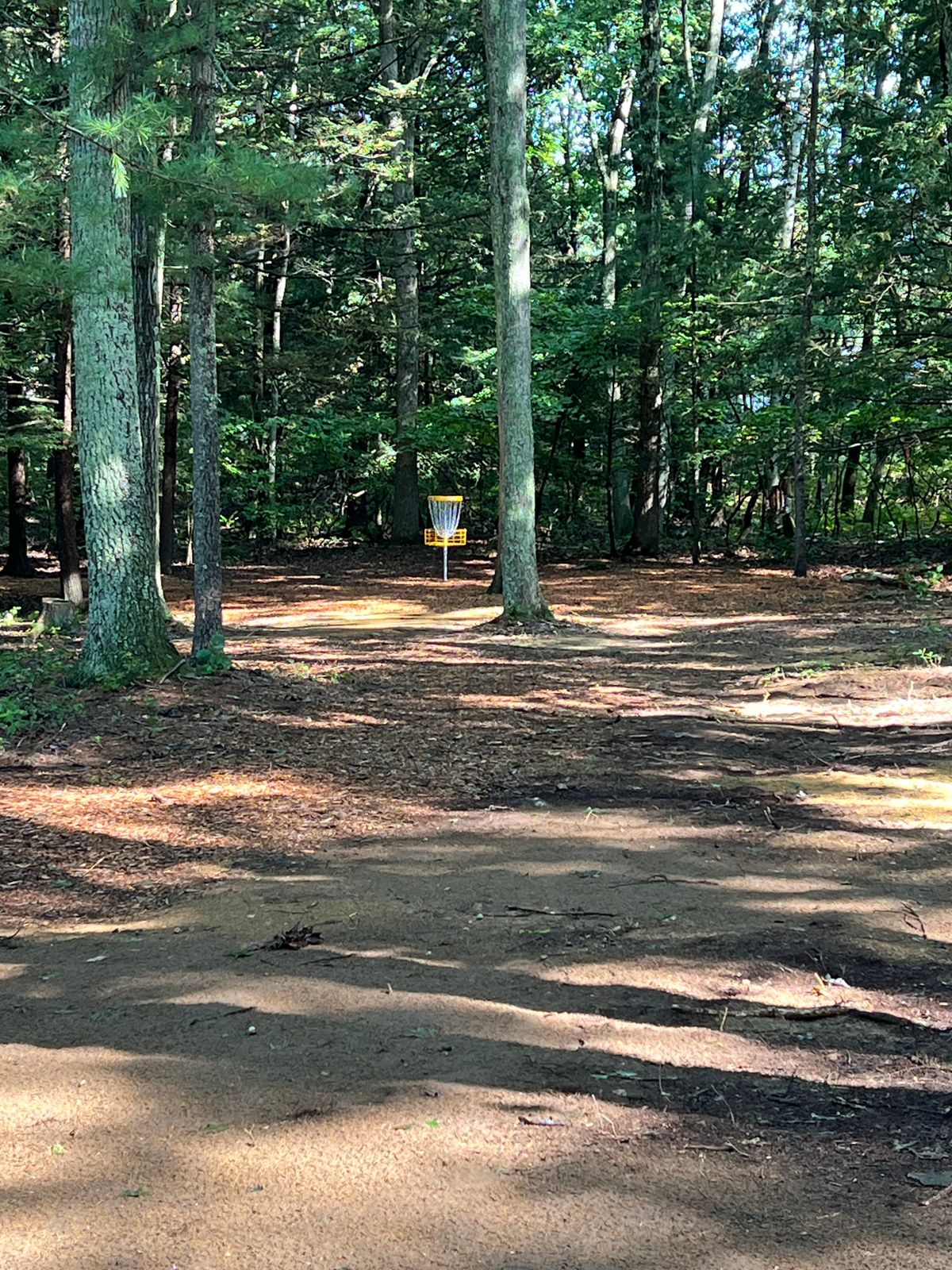 Hole 10 Basket
