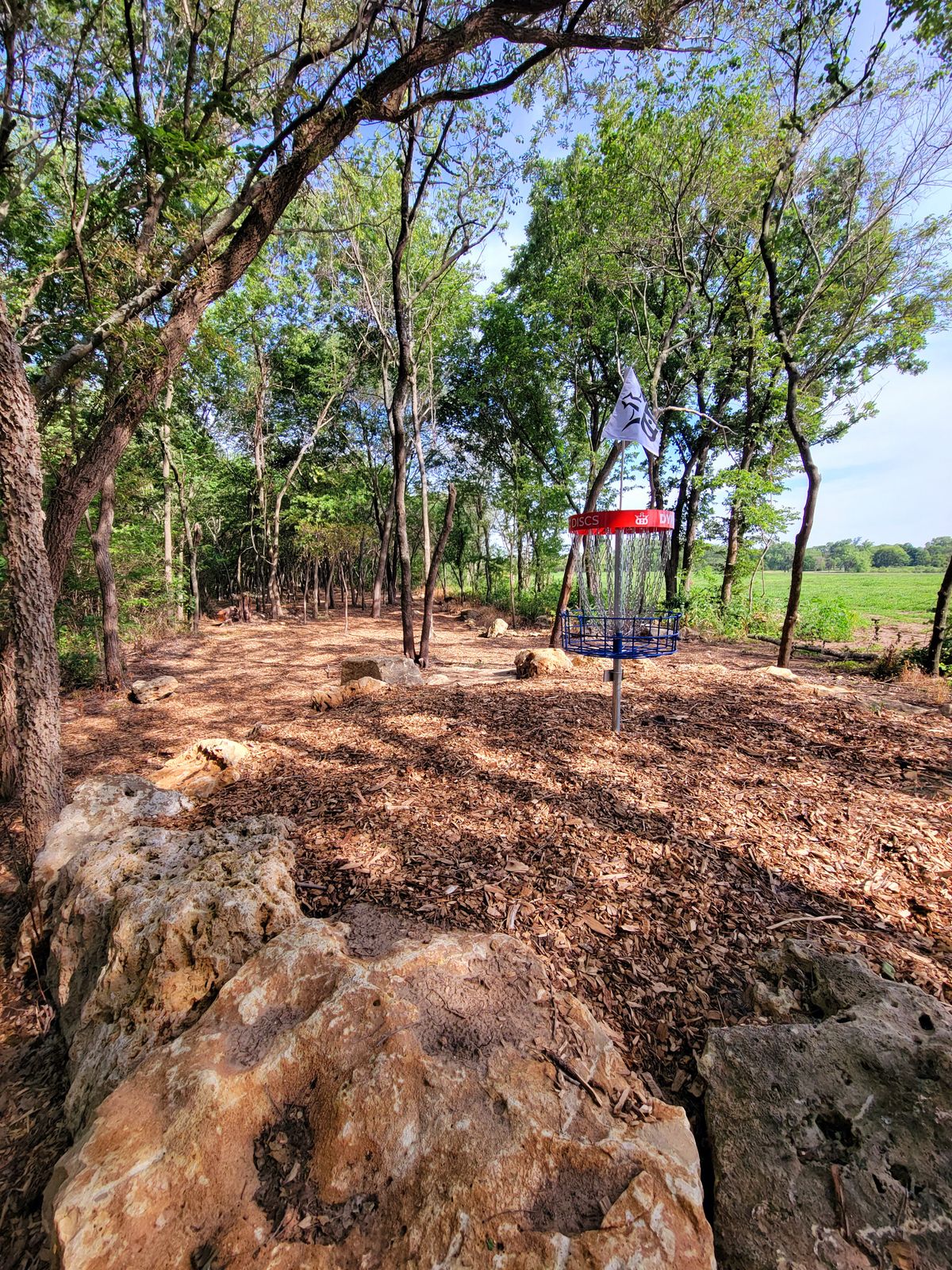 Hole 15: "Nature's Revenge green looking back down fairway