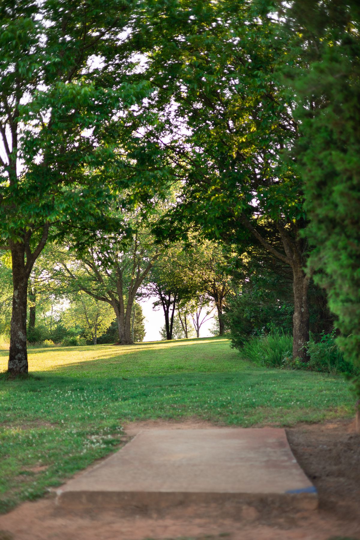 Hole 8 Long