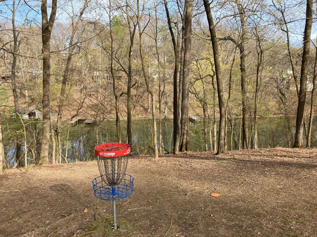 Hole 8 showing an ideal tee shot placement below the hole with a star rat.    Short birdie hole.