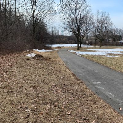 Hole 2 tee. No actual tee or mark in ground
