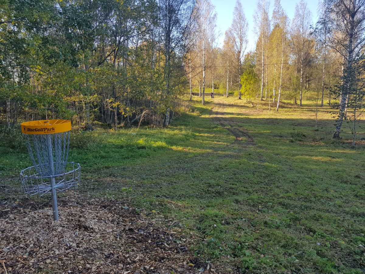 Hål 11, par 3. Bild från korg mot teepad.
Svackan på mitten gör sig inte synlig på bild