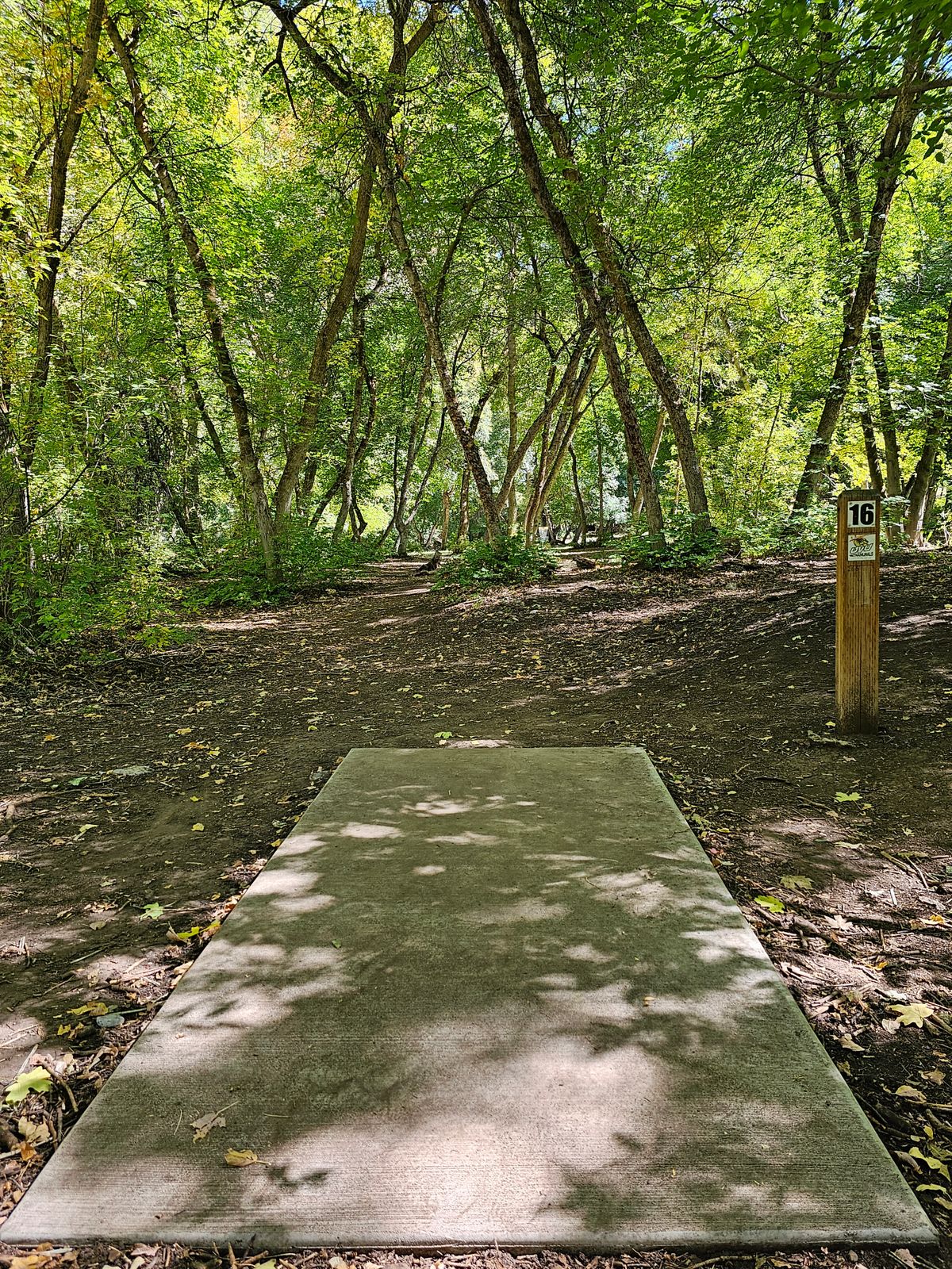 Tee Pad #16