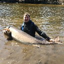 thirstysturgeon