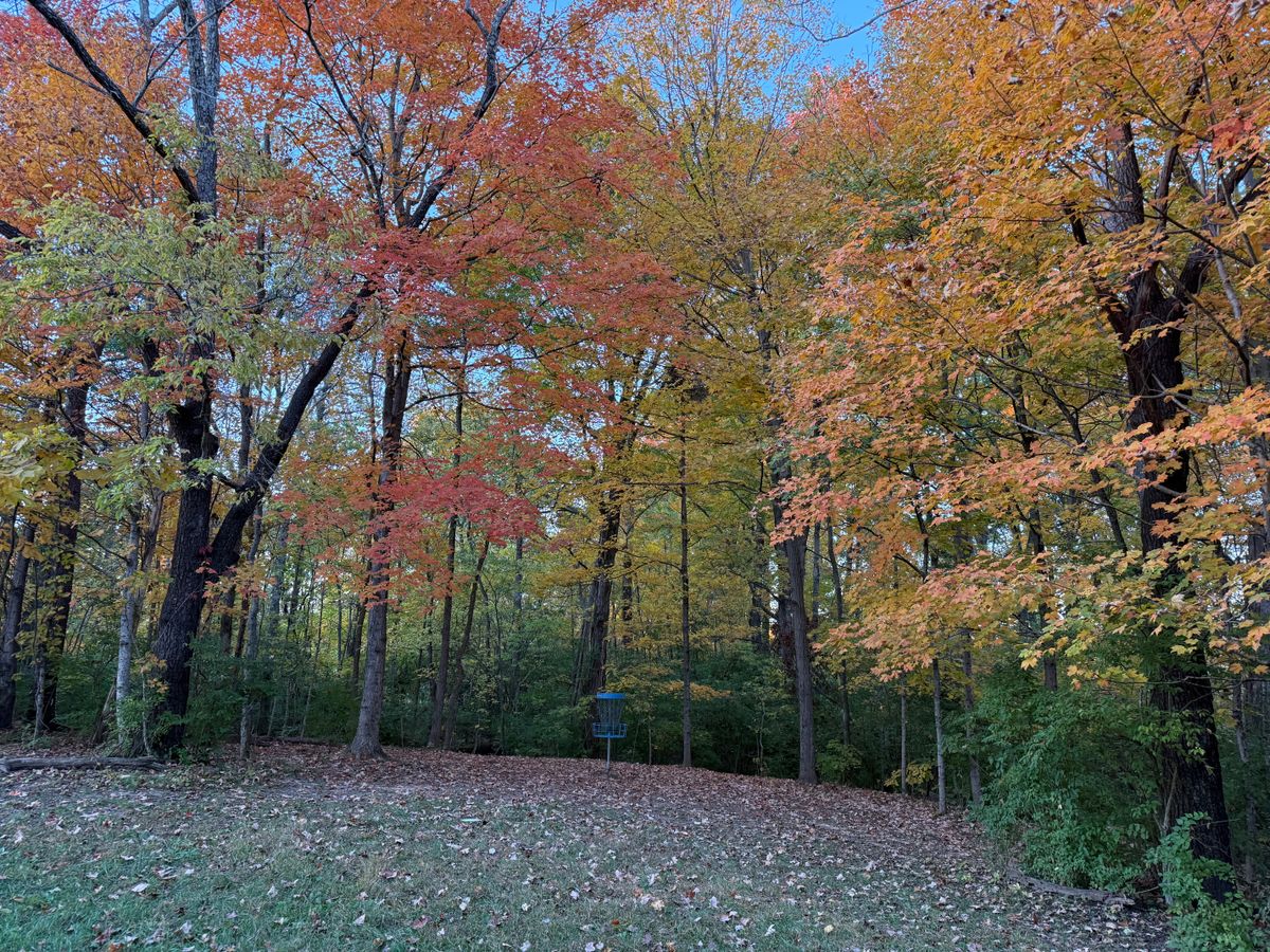 Hole 4.