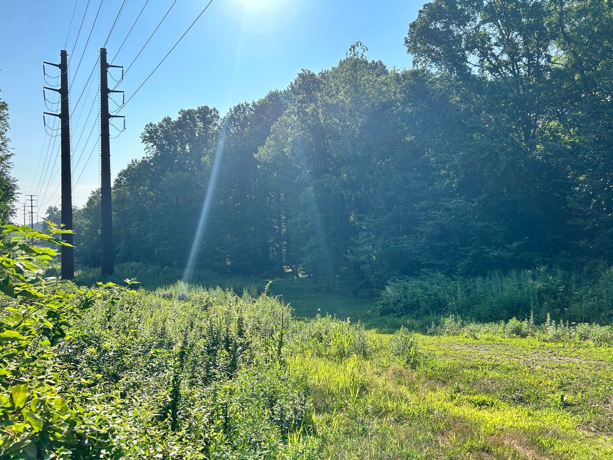 Hole 13