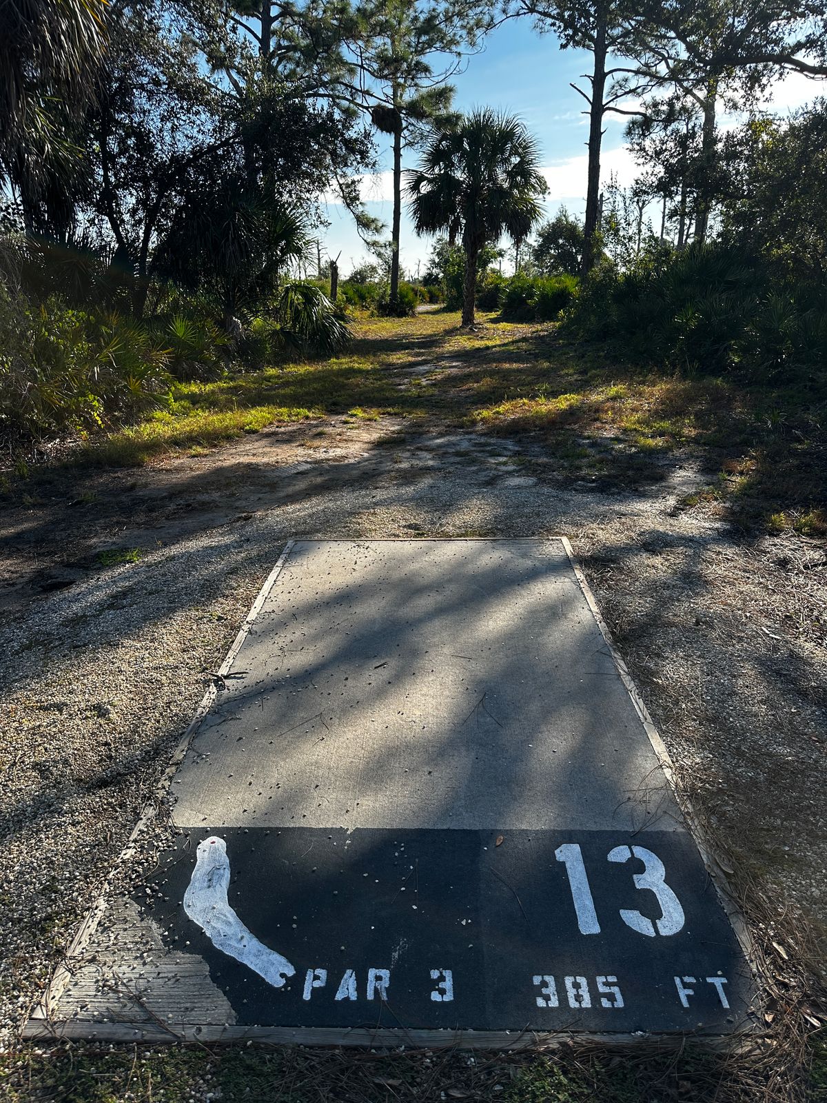 Current tee location 10/2025. 340 ft to basket from front of tee