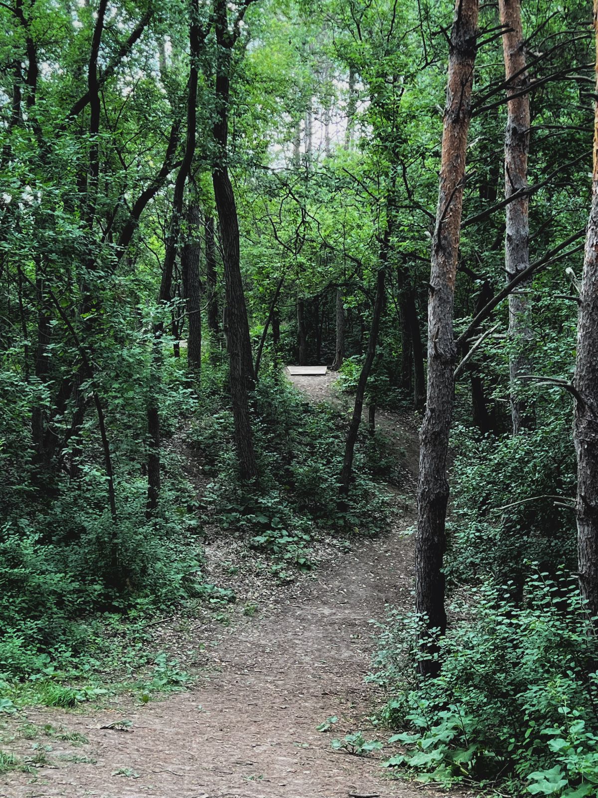 Hole 14, looking back at the perch