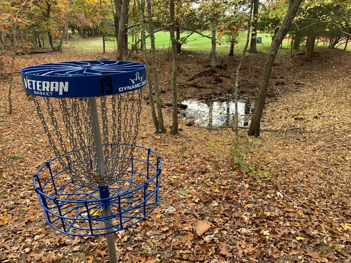 Murk pond on 13 : reminds me of thegarbage disposal in Star Wars!  filled with old logs very murky 😵