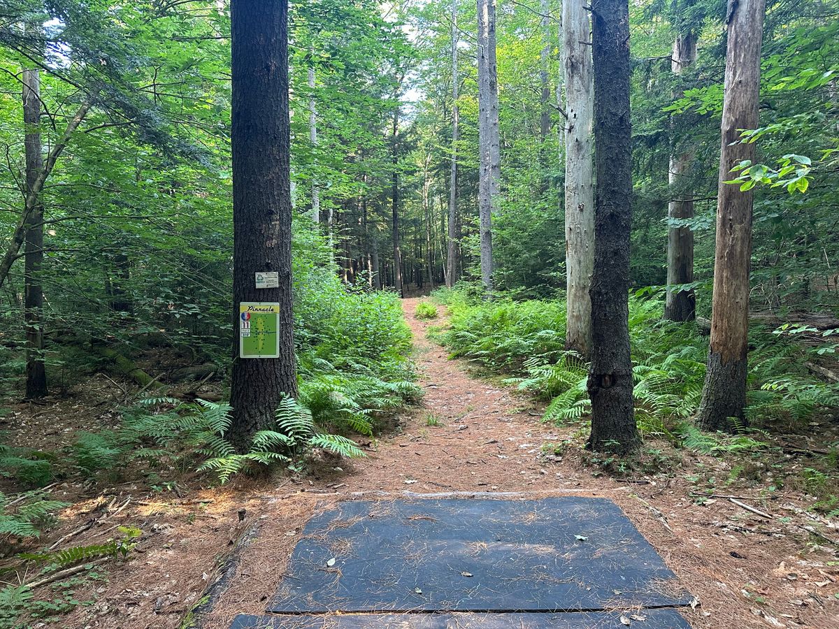 Tee pad 11