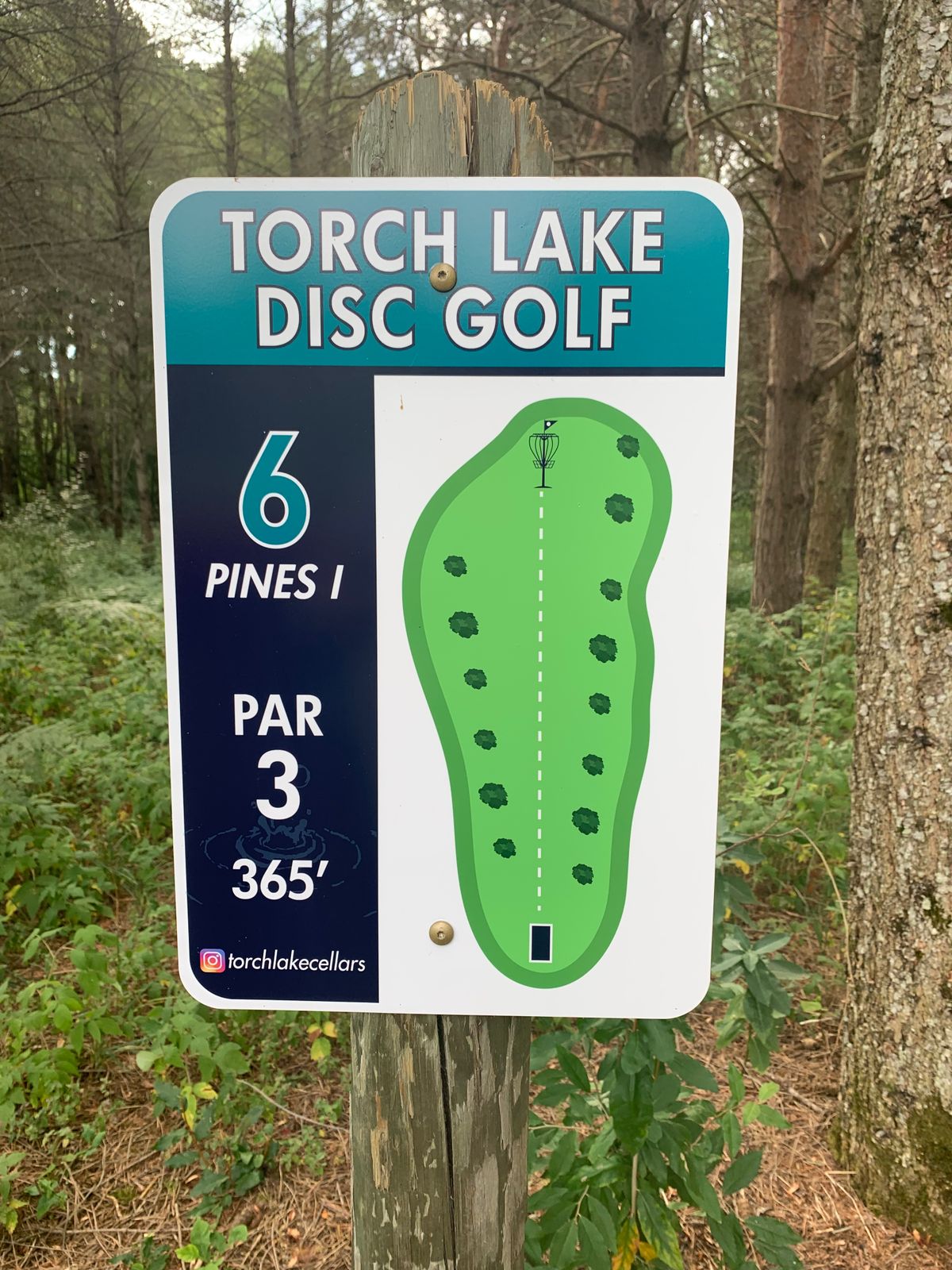 Hole 6