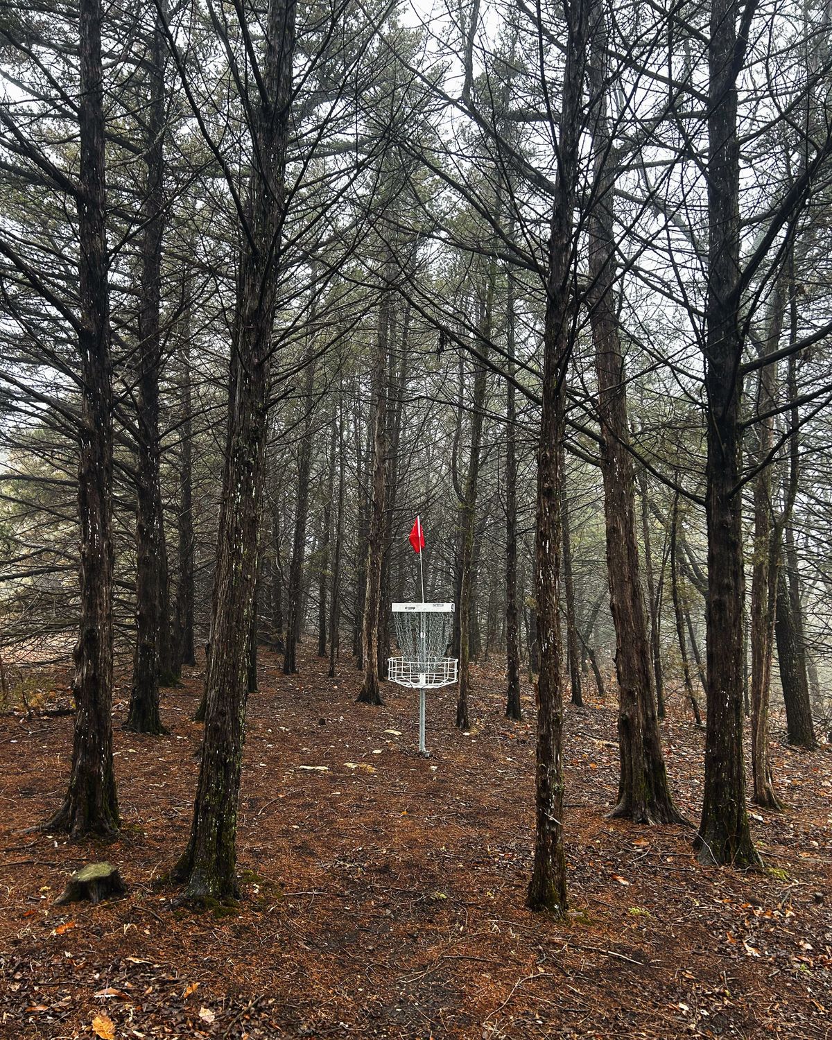 Blair Witch hole