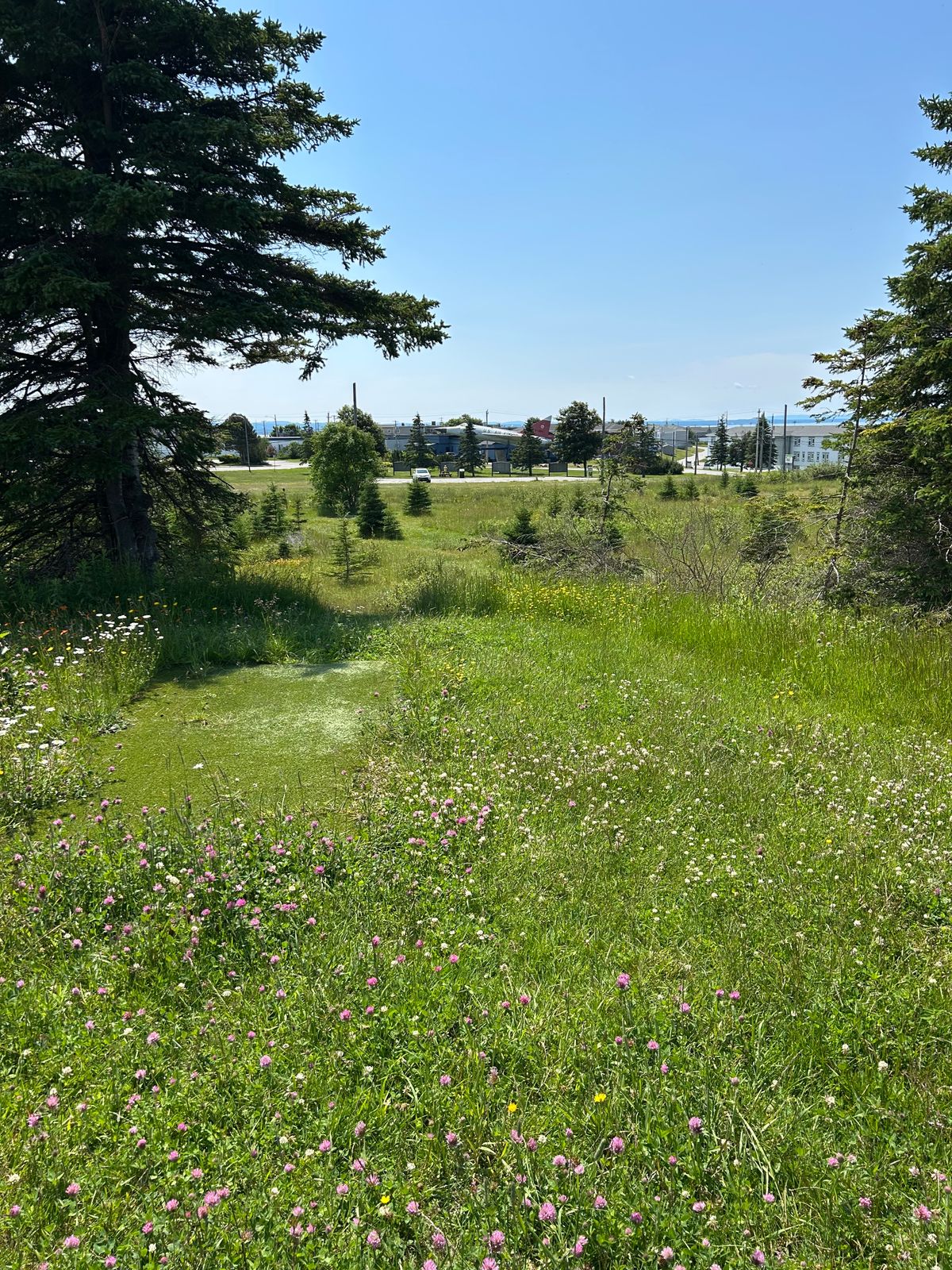 Hole 9 long from the tee pad.