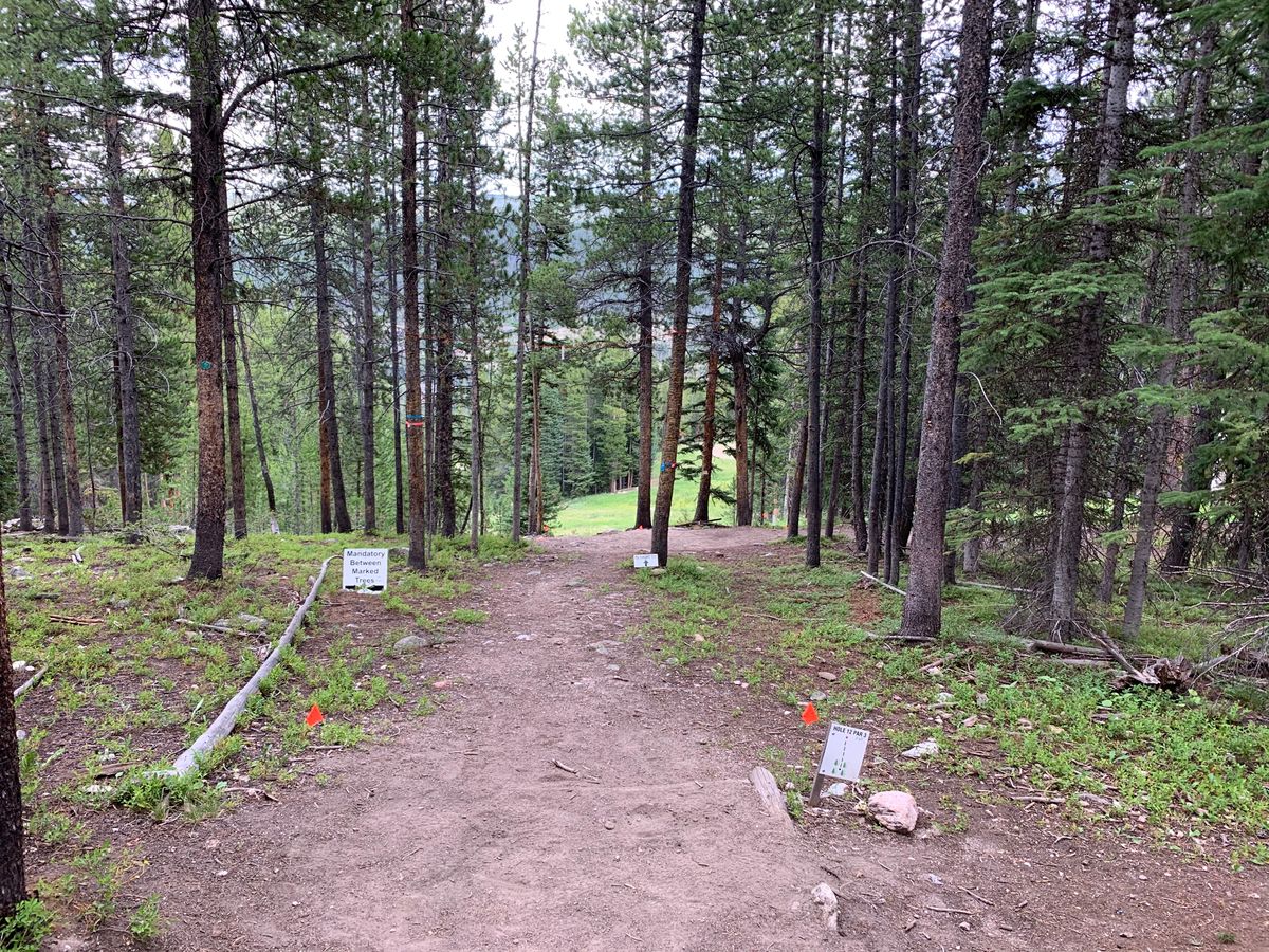 Hole #12 long box