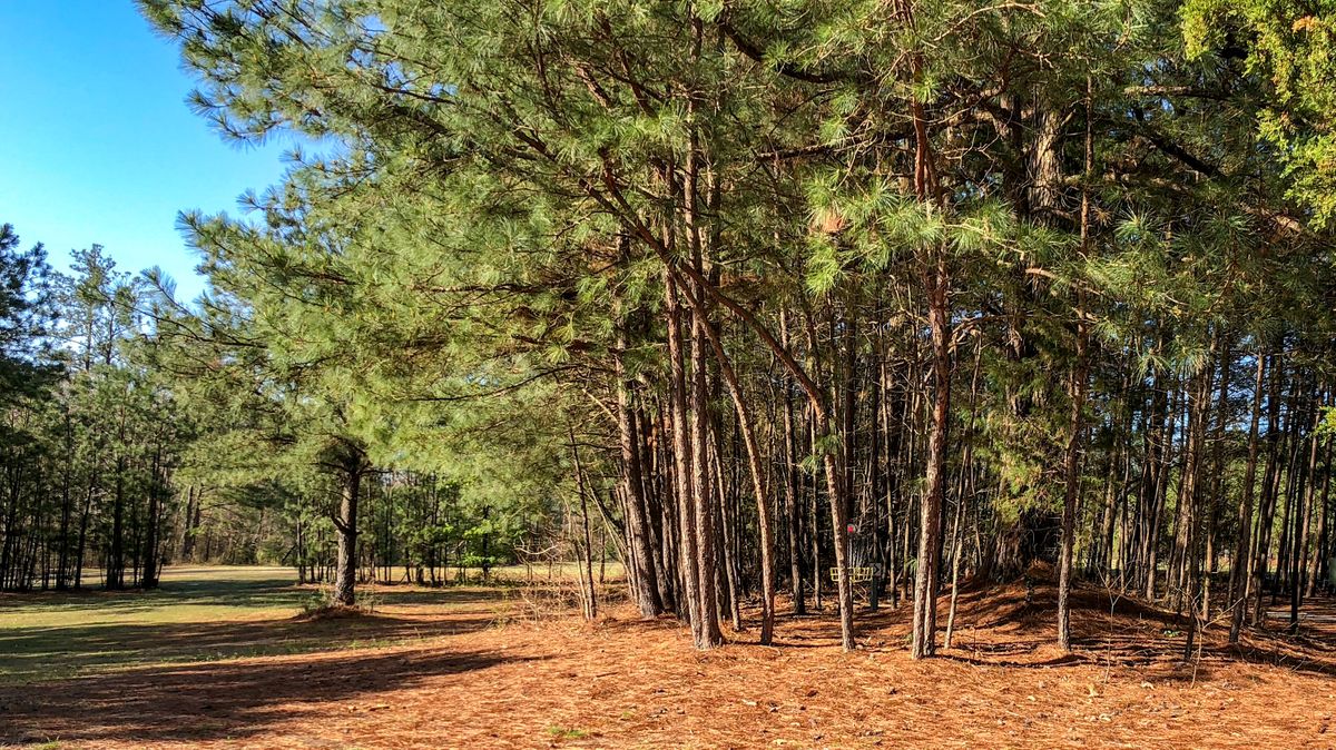 Hole 5