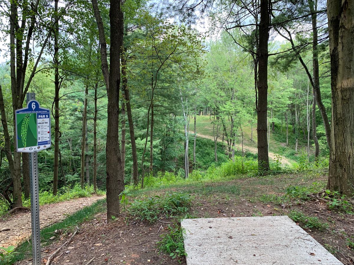 Hole 6 blue tee