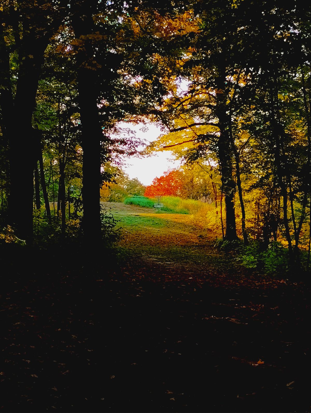 Hole 15