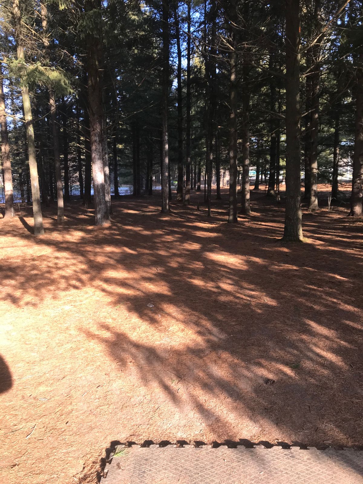 Hole 3 short tee