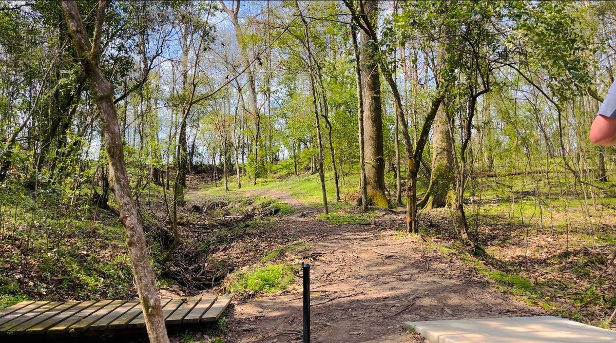 Hole 8