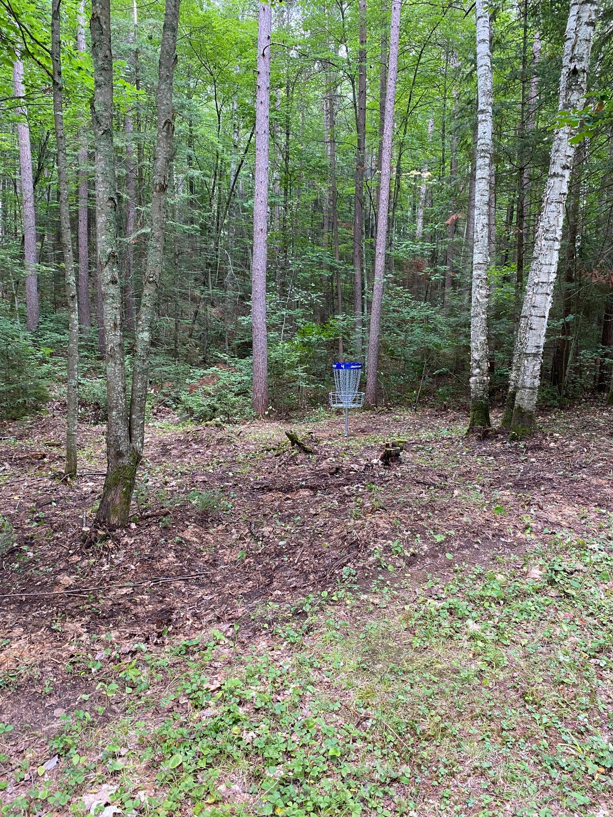 Hole 4 short