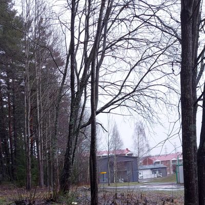 Väylä 5