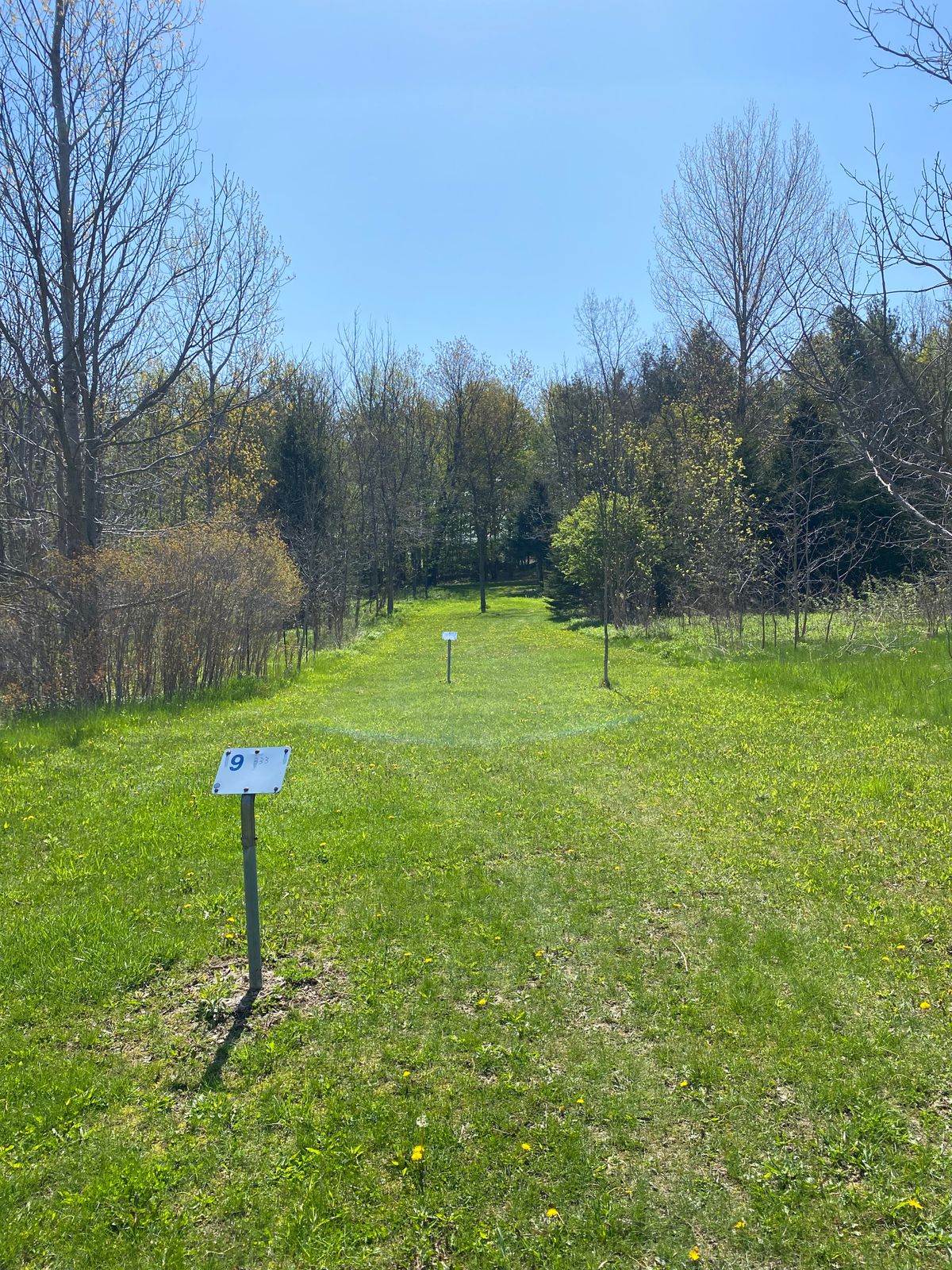 Hole 9 Blue