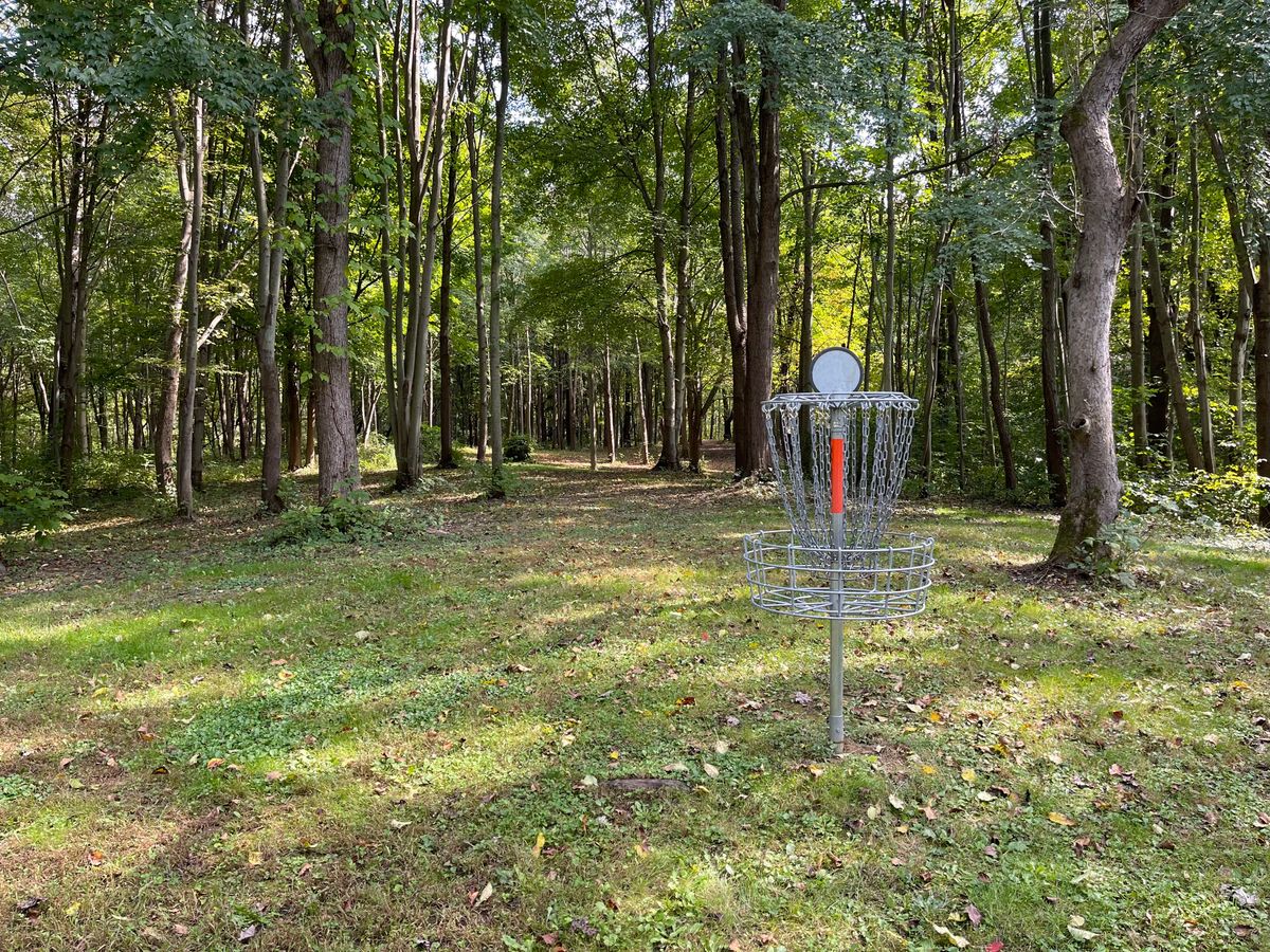 Hole 6 Basket