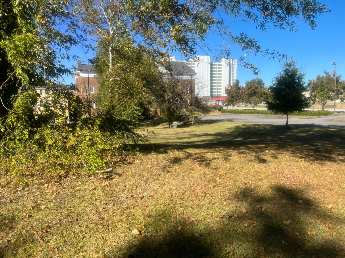 Downhill view of basket next to parking lot