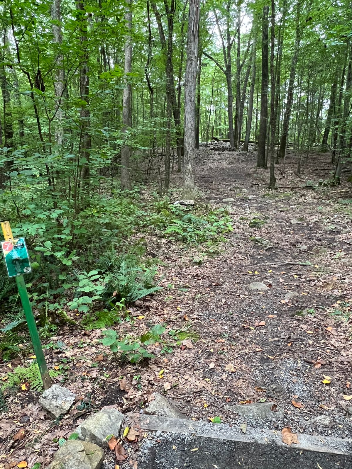 Hole #7