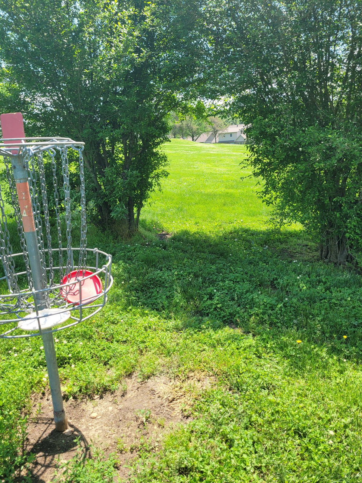Hole 5 Basket to Tee