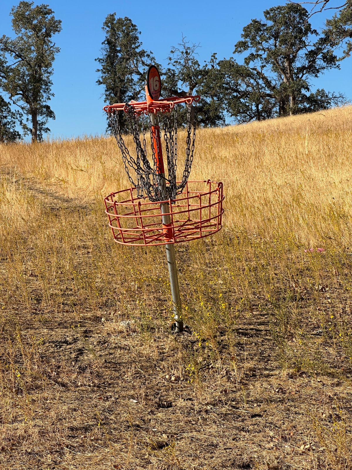 Leaning baskets