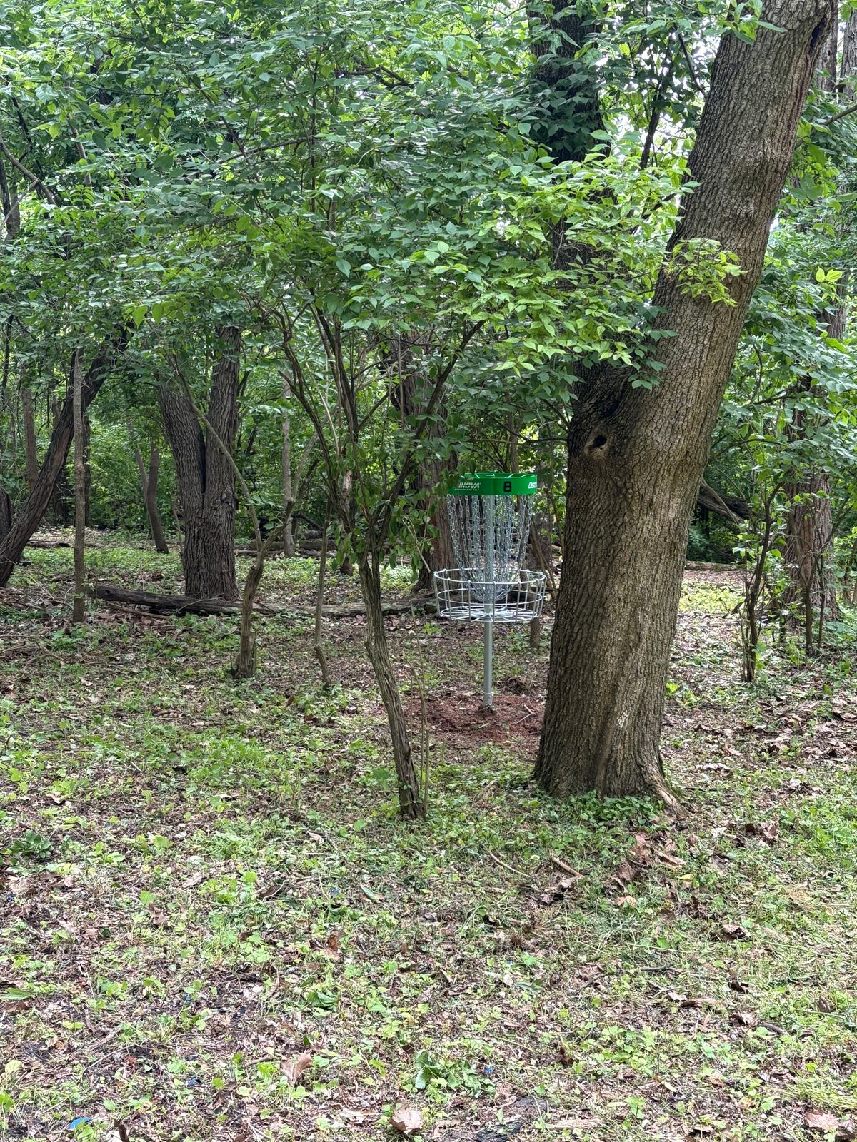 Hole 8