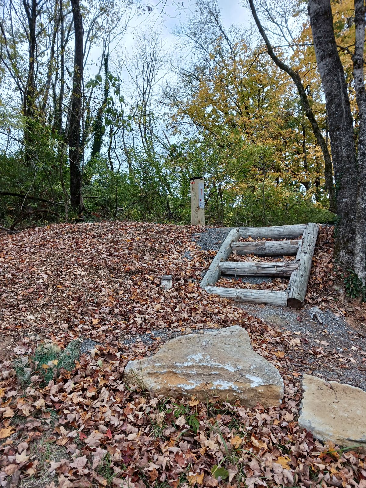 Leading up to tee box 1