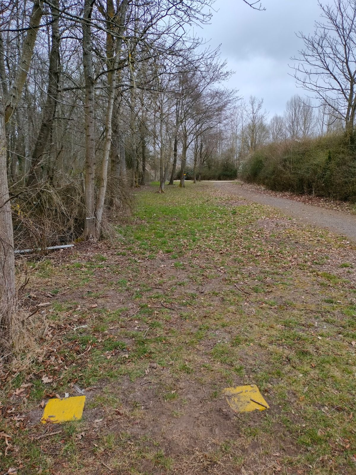 par 3