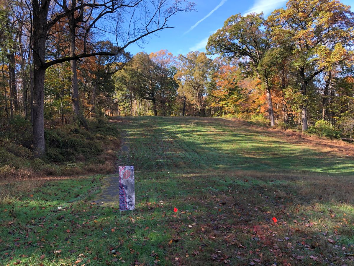 #6 tee (basket beyond OB golf green)