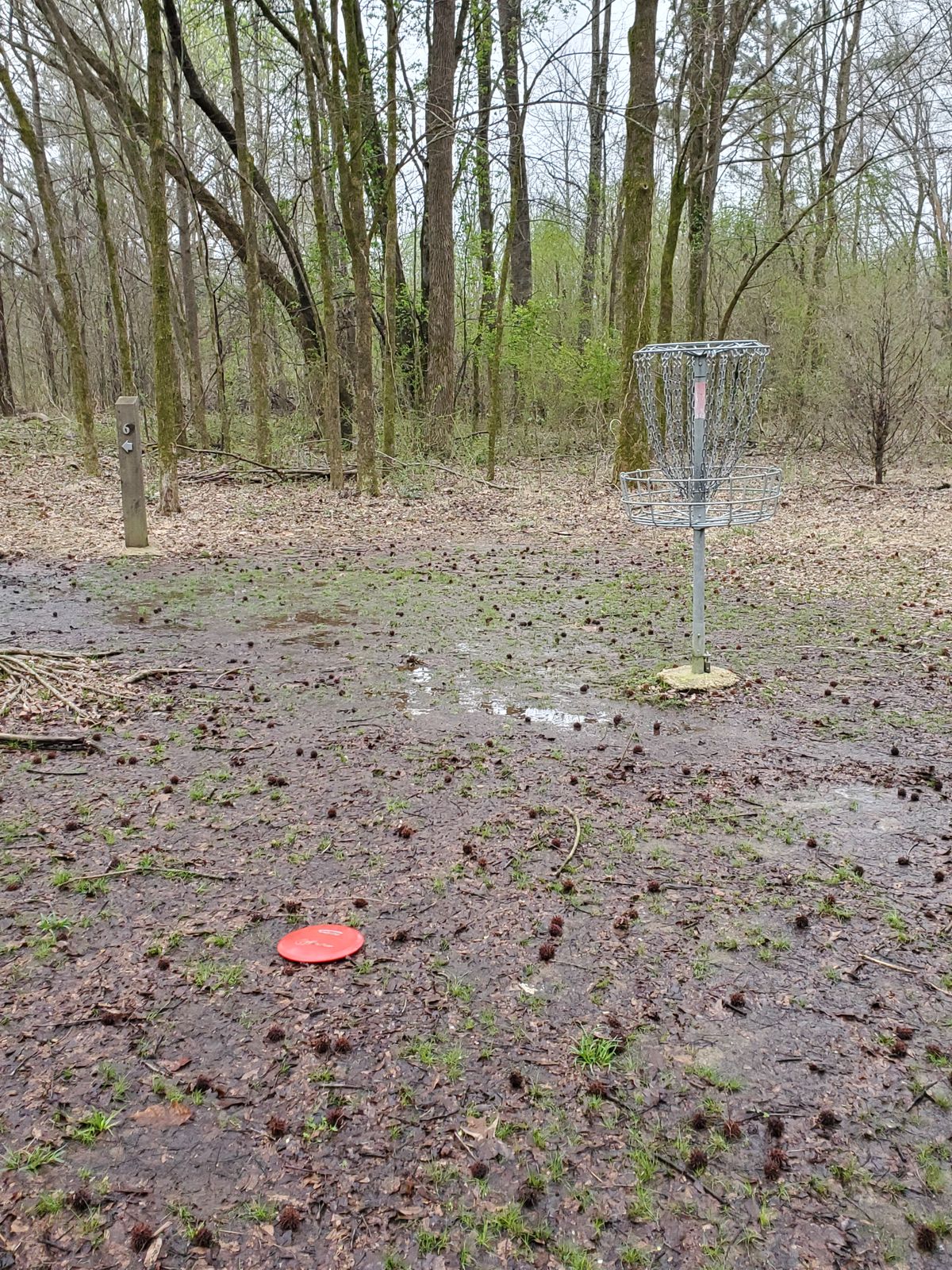 Hole #5