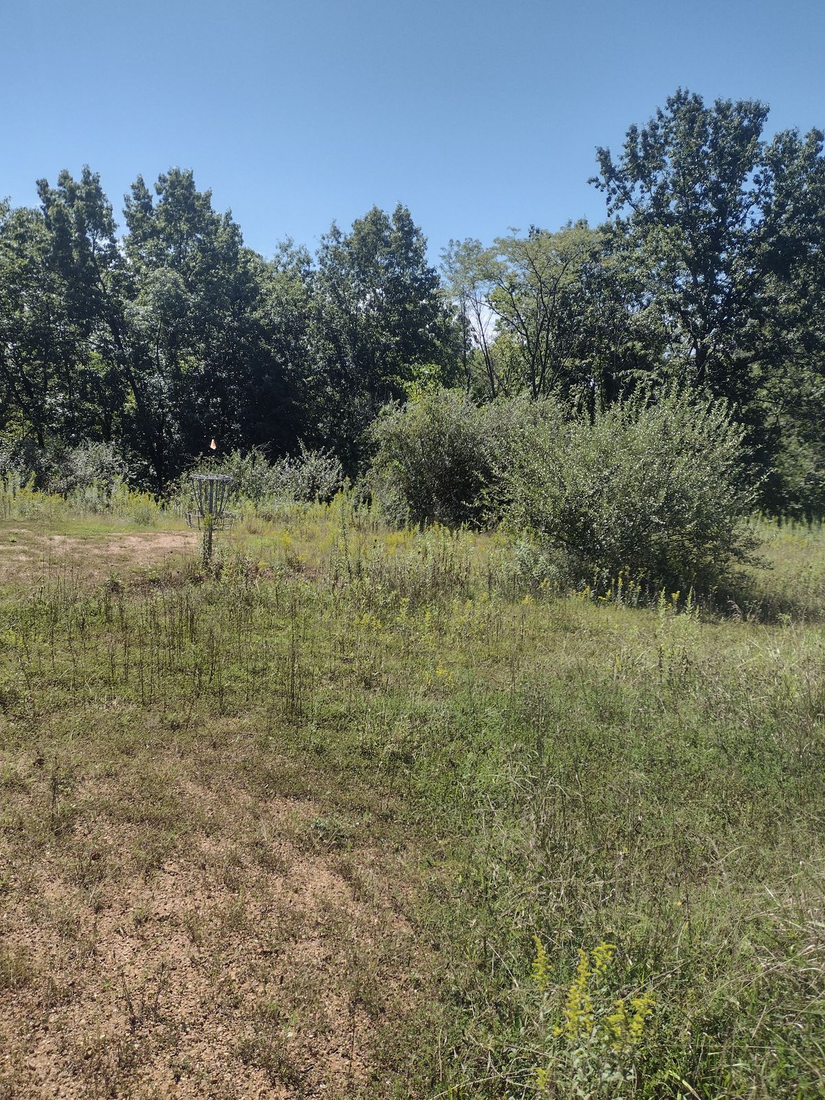 Hole 5 Basket