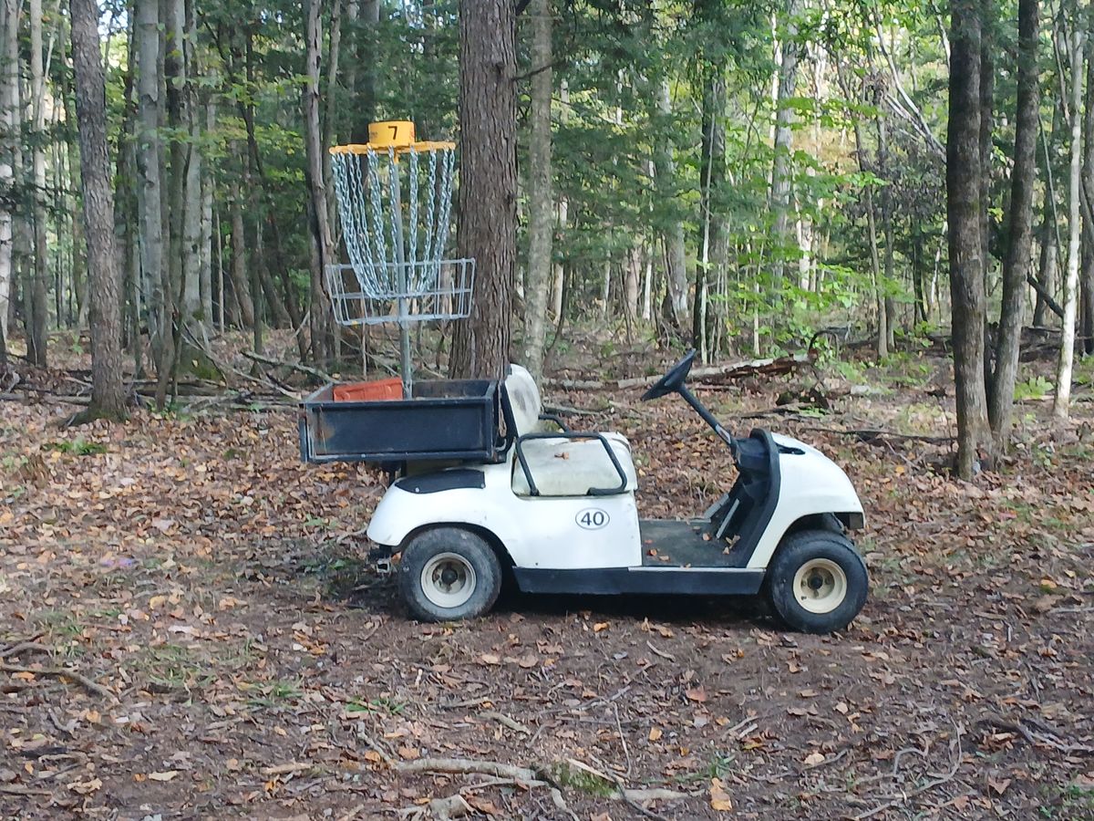 Hole 7 elevated basket