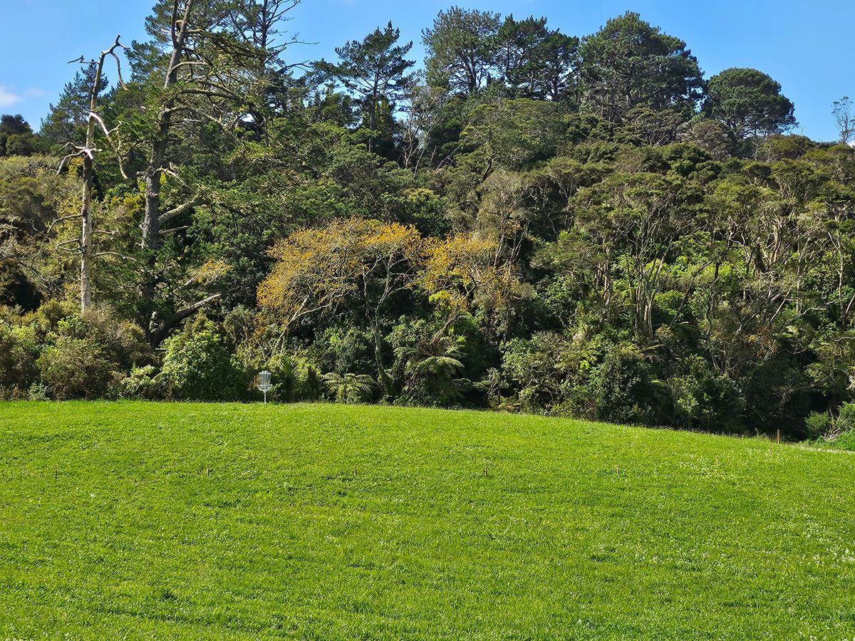 A view of the peninsula green on hole 1