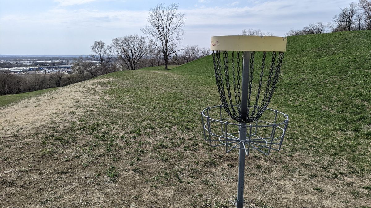 Basket 8 (looking back down fairway)