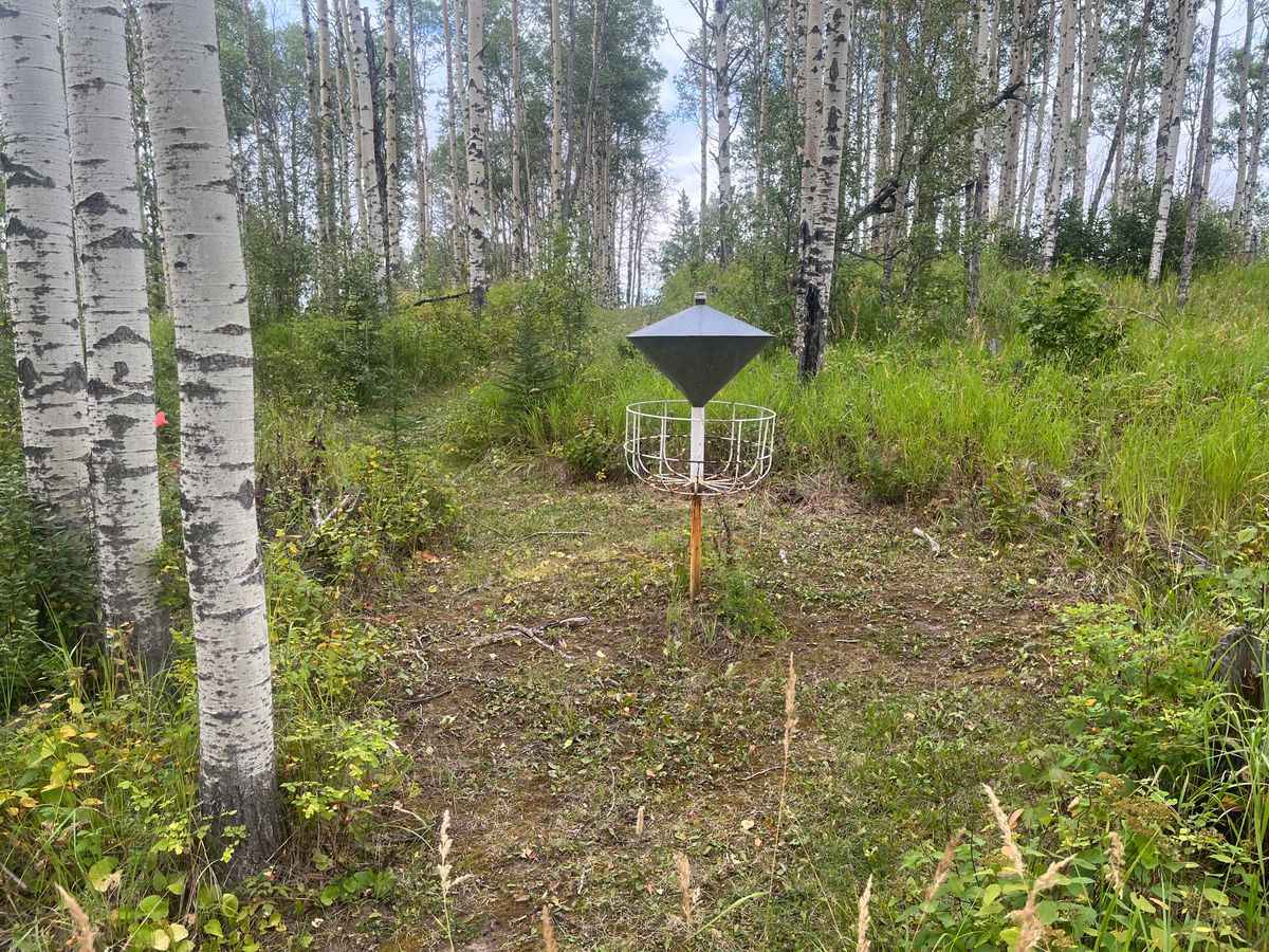8th Basket Area