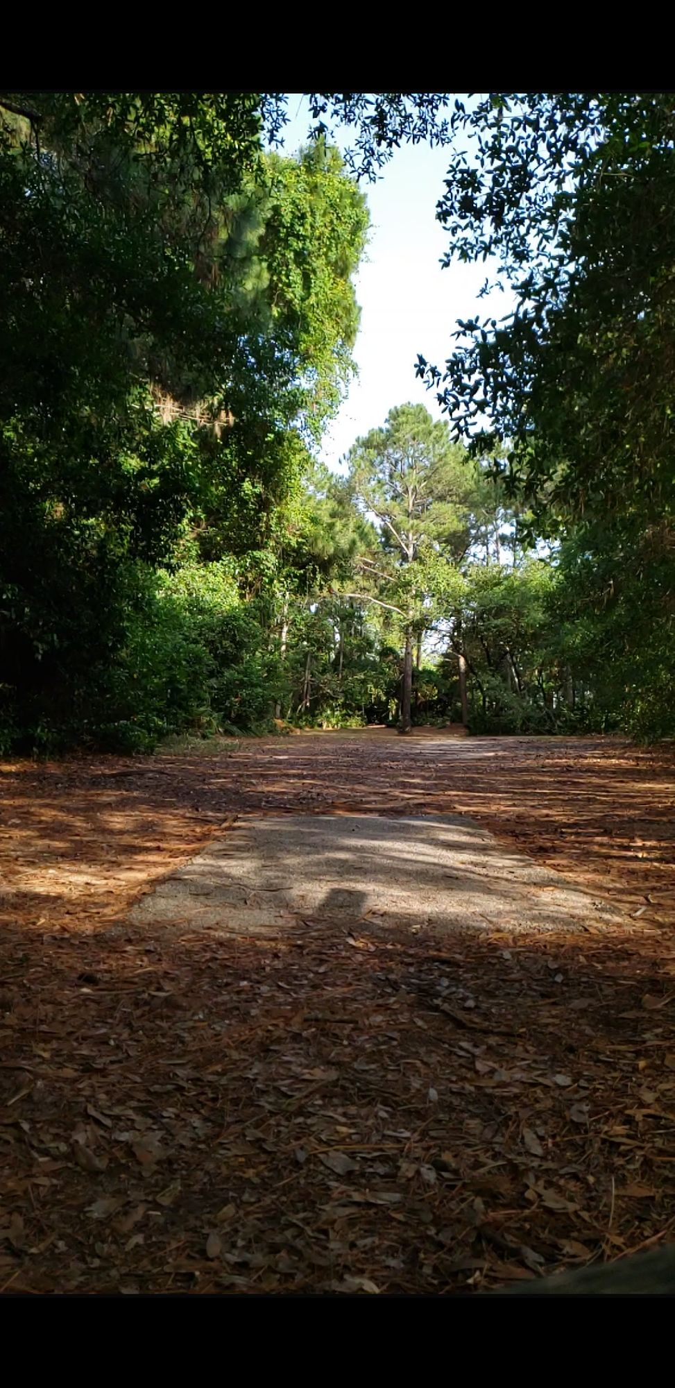 Hole 8