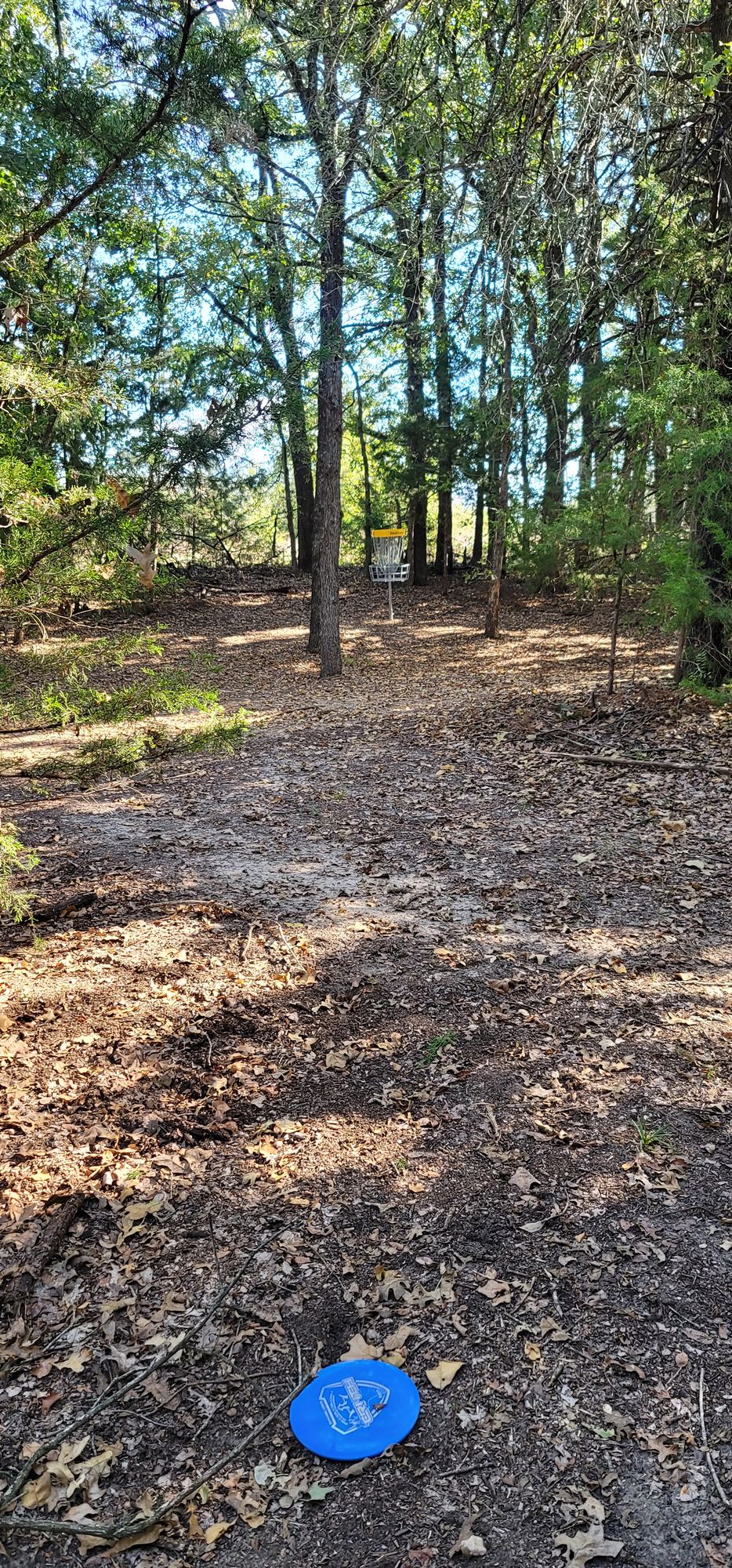 Hole 16 basket